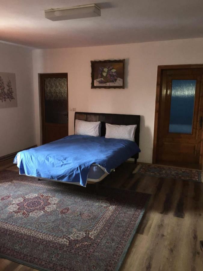 Hôtel Casa Mirela à Turda Extérieur photo